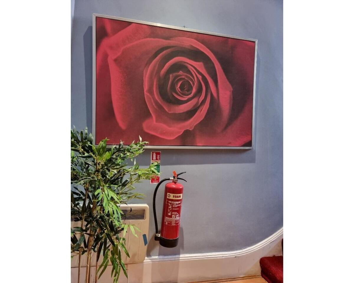 F301-Awesome 3Rd Flr Studio Fits 1 Near Hyde Park Londra Exterior foto